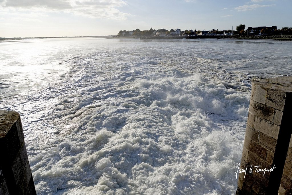 Baie-de-Somme-0447.jpg