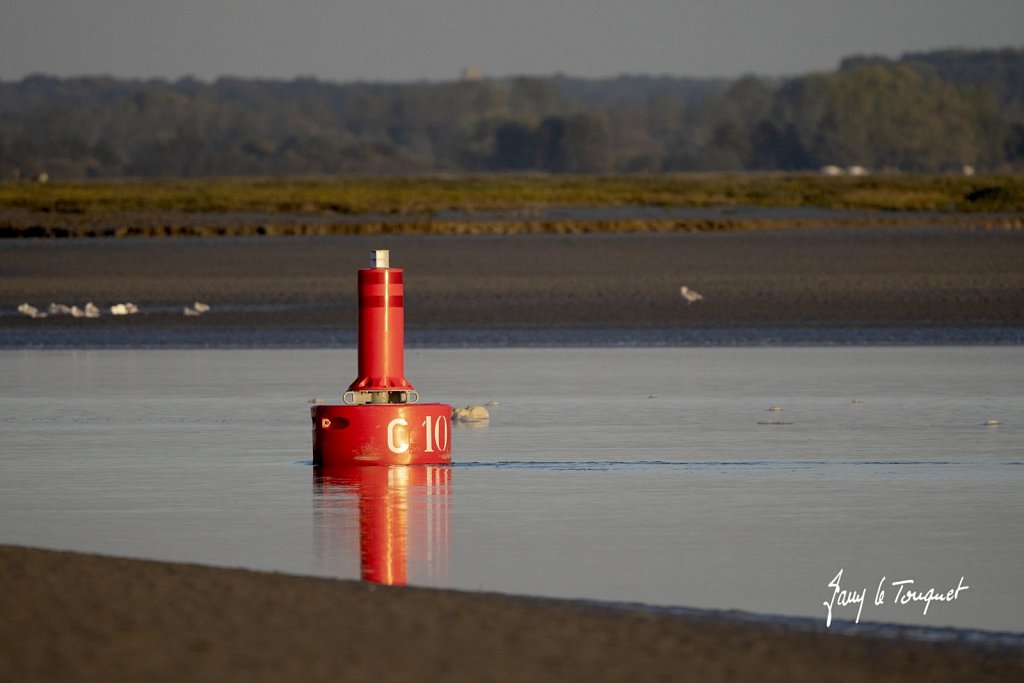 Baie-de-Somme-0456.jpg