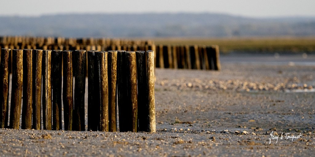 Baie-de-Somme-0457.jpg