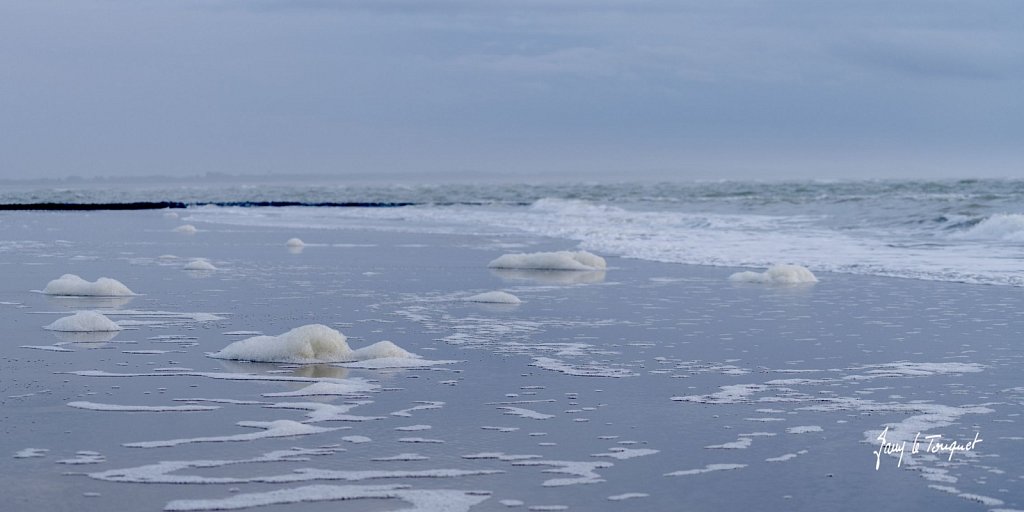 Berck-sur-Mer-0884.jpg