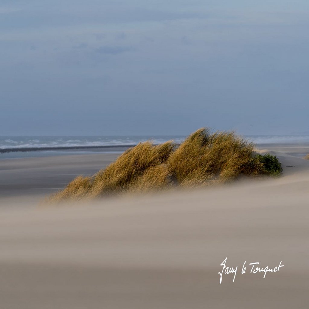 Berck-sur-Mer-0904.jpg