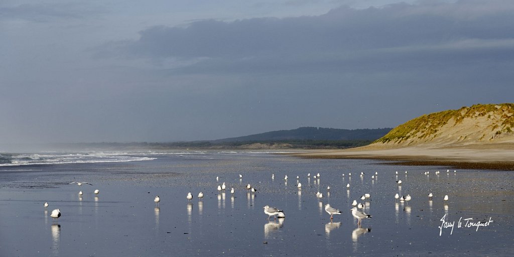 Le-Touquet-1872.jpg