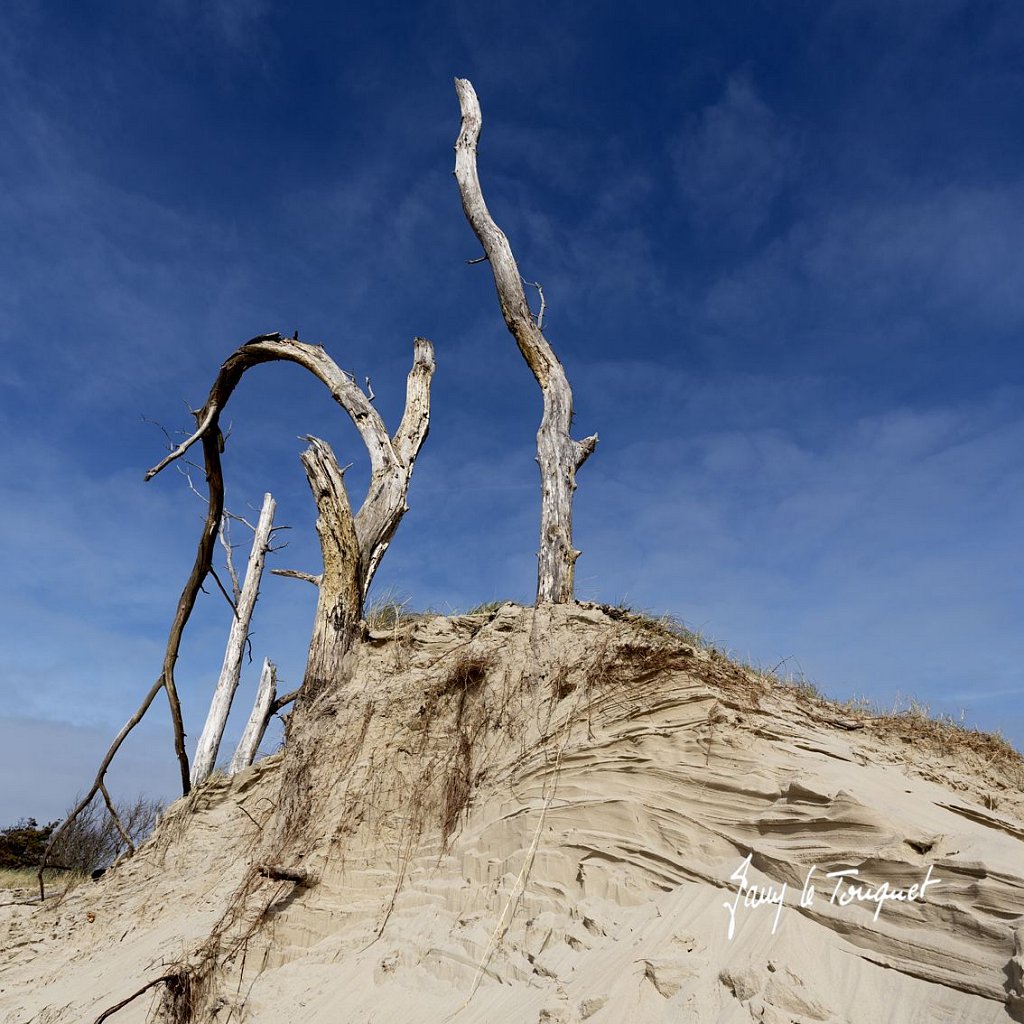 Berck-sur-Mer-0951.jpg